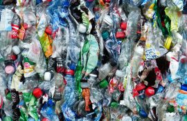 plastic bottles, bottles, recycling